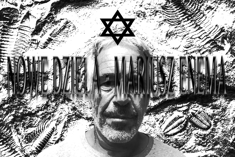 ENEMAINTELLIGENCE avatar